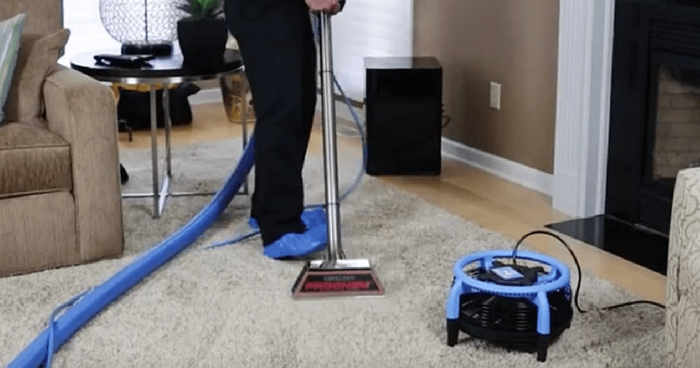 Steam Carpet Cleaning Services and Oriental Area Rug Cleaning