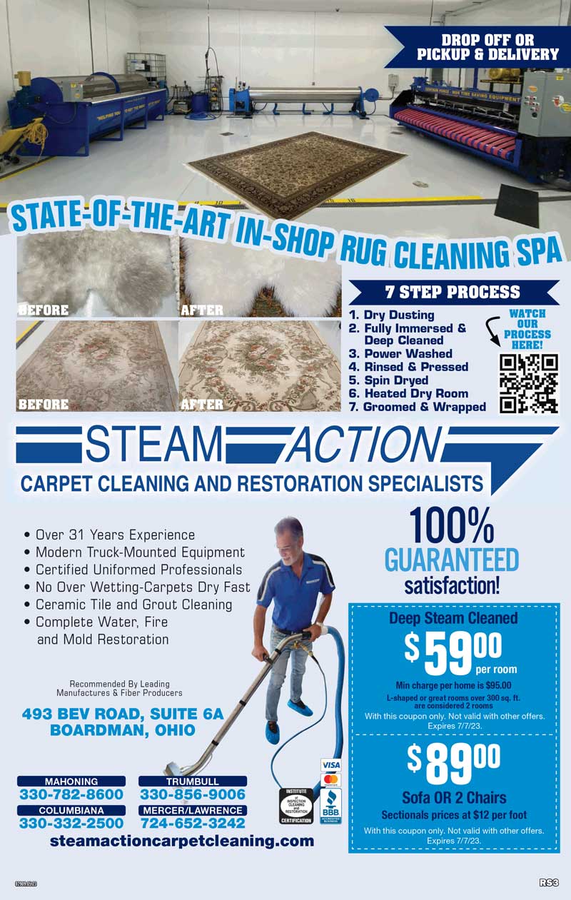 Steam Action Carpet Cleaning Specials & Discounts